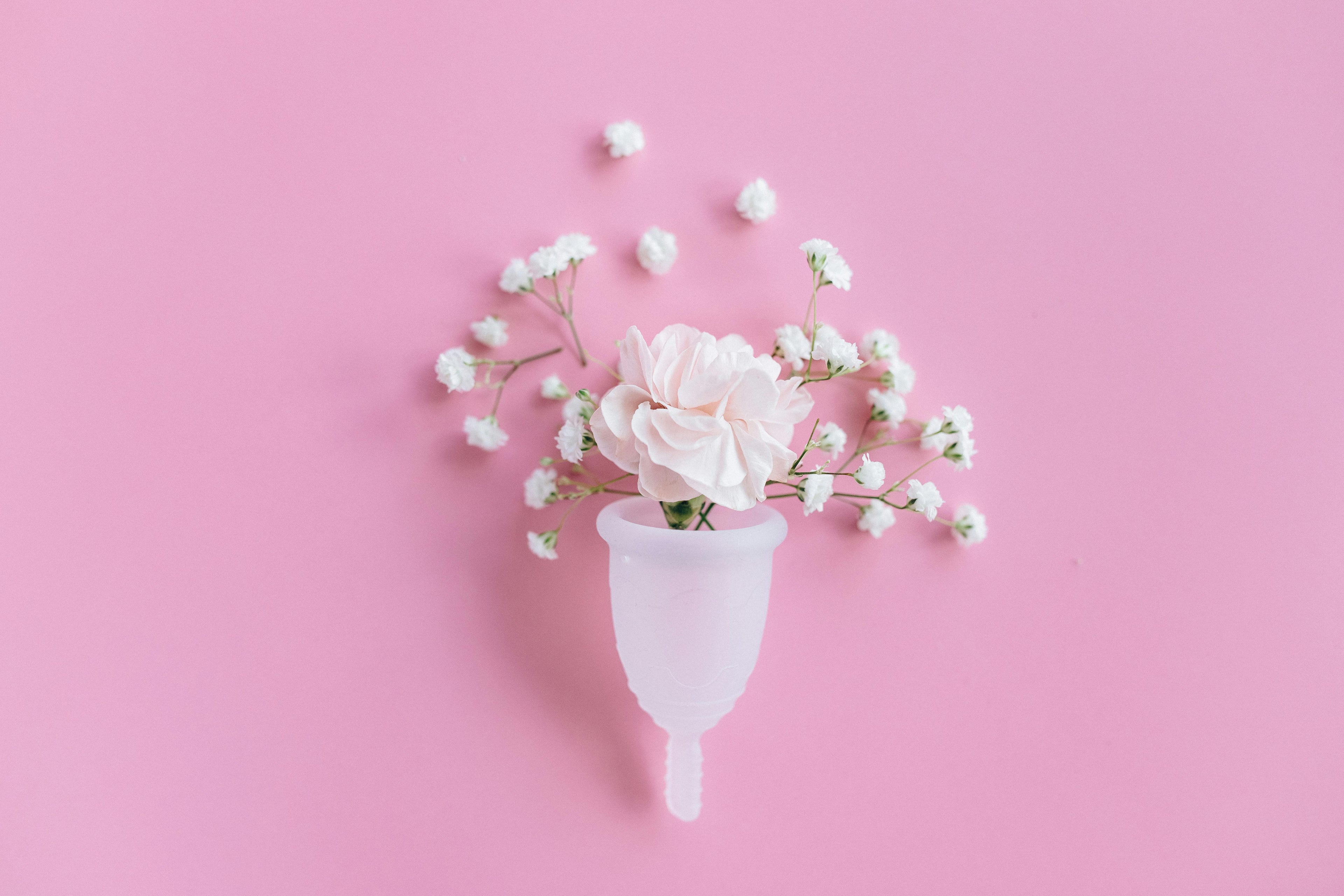 Menstruation & Intimate Care