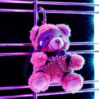 CRUSHIOUS | Crushito – Naughty BDSM Teddy Bear Keychain