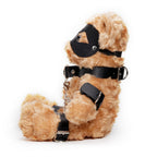 CRUSHIOUS | Crushito – Naughty BDSM Teddy Bear