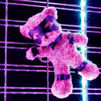 CRUSHIOUS | Crushito – Naughty BDSM Teddy Bear