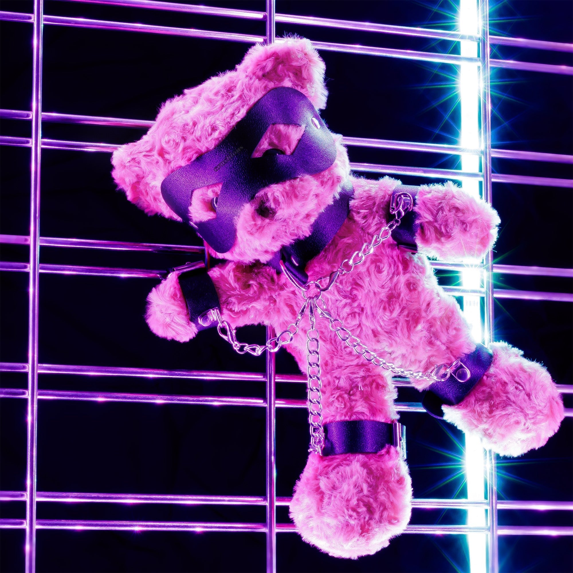 CRUSHIOUS | Crushito – Naughty BDSM Teddy Bear