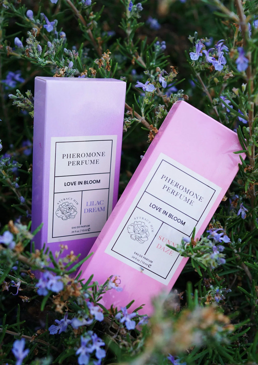 EYE OF LOVE | Bloom – Pheromone Perfume Attract Him – Sunny Daze – 10 ml / 30 ml